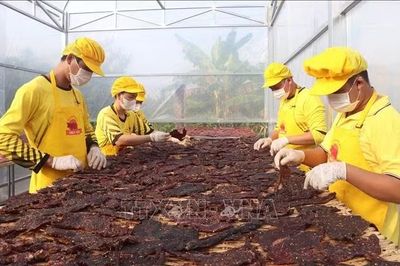 Tạo lực cho tăng trưởng 2 con số - Bài 3: Chính sách thuế tiếp sức doanh nghiệp