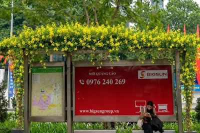 Hà Nội phủ kín cây xanh trụ metro, hầm chui, cầu vượt