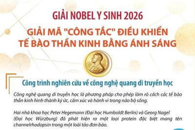 Giải Nobel Y sinh 2026: Giải mã 'công tắc' điều khiển tế bào thần kinh bằng ánh sáng