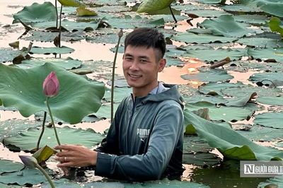 Quả ngọt bất ngờ cho chàng trai quyết 'đổi đời' vùng đất ruộng trũng