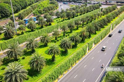 Hà Nội thí điểm phủ xanh trụ đường sắt trên cao, hầm chui và nhà chờ xe buýt