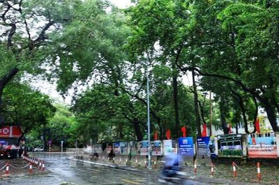 Hà Nội tăng mảng xanh tại một loạt công trình đô thị