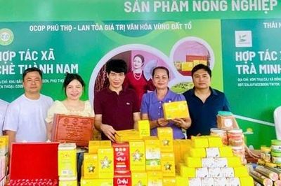 Phú Thọ: Mở rộng thị trường sản phẩm OCOP qua hội chợ, nền tảng số
