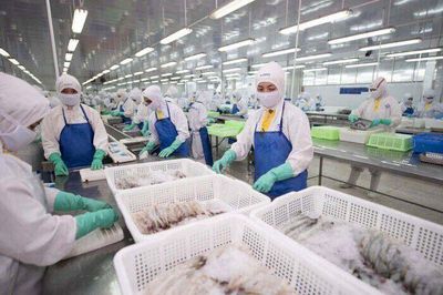 Doanh thu quý III của Sao Ta giảm hai chữ số
