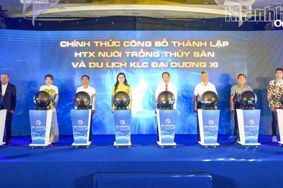 Thành lập Hợp tác xã Nuôi trồng Thủy sản và Du lịch KLC Đại dương XI