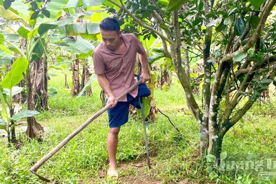 Không đầu hàng nghịch cảnh