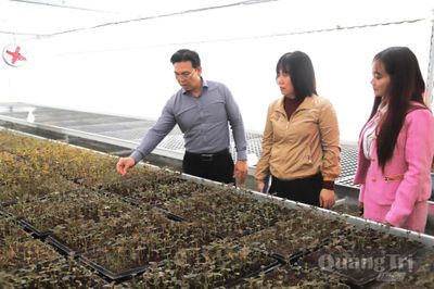 Liên kết nghiên cứu khoa học công nghệ