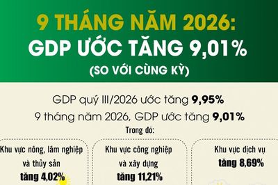 Infographics: 9 tháng năm 2026, GDP tăng 9,01%