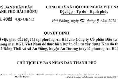 Hải Phòng: Giao gần 160.000m2 đất cho Công ty Cổ phần Đầu tư Thương mại DGL Việt Nam để thực hiện dự án