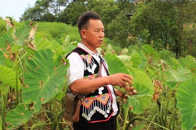 HTX vùng cao đưa nông sản bản địa vượt khỏi thị trường địa phương