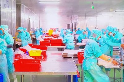Thủy sản tăng tốc, doanh nghiệp lại lo thiếu nguyên liệu