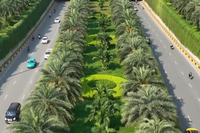 Hà Nội thí điểm phủ xanh trụ metro, cầu vượt, hầm chui