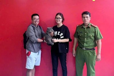 TPHCM: Phá băng trộm cắp, tiêu thụ 2.700 con mèo, bắt giam 12 đối tượng, nhiều thú cưng được trao trả cho người dân