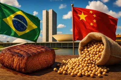 Trung Quốc áp thuế bổ sung 55% với thịt bò Brazil