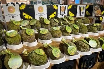 Malaysia tăng tốc giành thị phần sầu riêng tại Trung Quốc, thách thức vị thế của Thái Lan