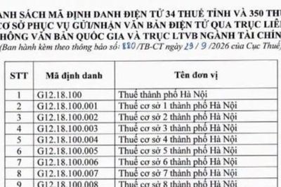 Cập nhật: Mã định danh điện tử mới của 34 thuế tỉnh, thành phố và 350 thuế cơ sở