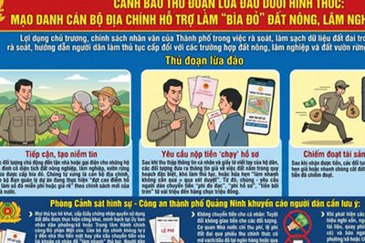 Mạo danh cán bộ địa chính, lừa tiền làm 'bìa đỏ' đất nông, lâm nghiệp