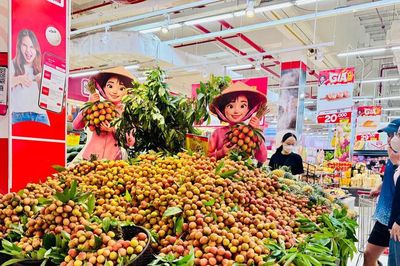 Để OCOP trở thành động lực cho kinh tế nông thôn