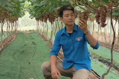 Làm sạch từ chuồng trại đến đồng ruộng