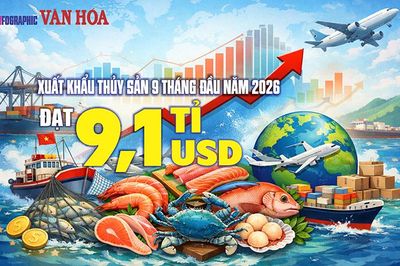 9,1 tỉ USD thủy sản: Thị trường nào bất ngờ tăng mua 33%?