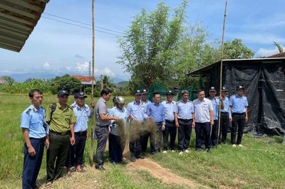 Khánh Hòa: Tình trạng bẫy chim trời vẫn hoành hành