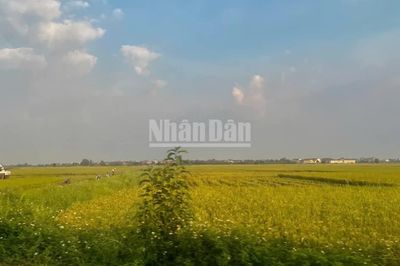 Chính sách đặc thù về đất đai không có nghĩa đặc cách