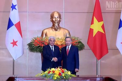 [Ảnh] Tổng Bí thư, Chủ tịch nước Tô Lâm hội đàm với Tổng thống Panama Jose Raul Mulino