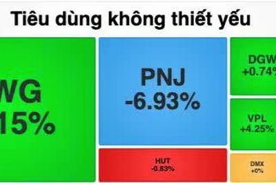 Lực cầu bắt đáy giúp VN-Index lội ngược dòng