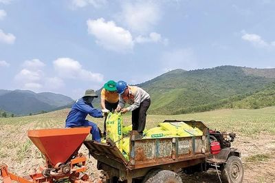 Phân bón Phú Mỹ được cấp Chứng nhận đạt tiêu chuẩn chất lượng Nhật Bản