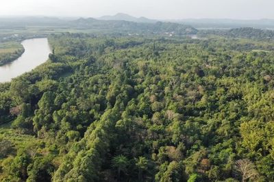 Biến 'không khí' thành tiền: Cơ hội tỷ đô từ sàn giao dịch carbon