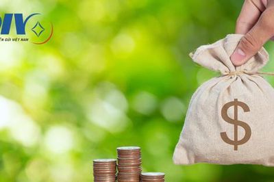 Vai trò của Bảo hiểm tiền gửi Việt Nam trong tham gia xử lý tổ chức tín dụng yếu kém