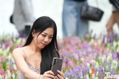 Nàng thơ nô nức check-in với loài hoa mới lạ ở Bờ Hồ