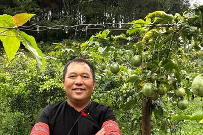 'Vắc-xin' củ riềng của người Mông và vườn sinh thái giữa rừng của cựu trưởng bản