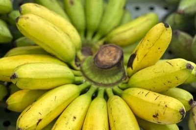 Lượng đường thực sự trong chuối, bạn có nên ăn mỗi ngày?