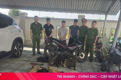 Khởi tố 3 đối tượng trong đường dây trộm chó