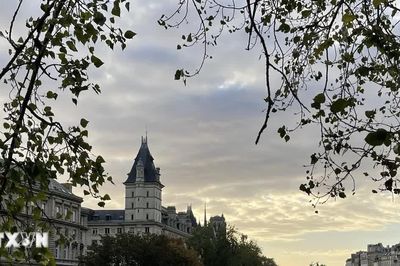 Khám phá những cây cầu bắc qua sông Seine tại Paris