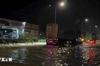 Thành phố Hồ Chí Minh: Nước dâng nhanh, gây ngập sâu ở Tân Hiệp trong đêm