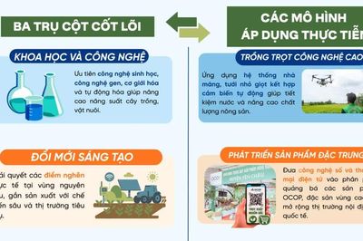 Nghị quyết 57-NQ/TW đột phá chuyển đổi: Công nghệ tái cấu trúc nông nghiệp