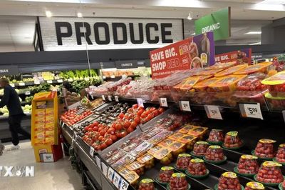 IMF cảnh báo nguy cơ gia tăng các cú sốc giá lương thực, năng lượng