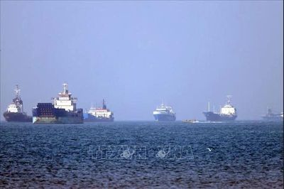 Nghịch lý tại Hormuz: Tàu quan sát được giảm 94% nhưng hàng triệu thùng dầu vẫn đi qua