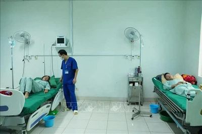 Kịp thời cứu sống 4 người bị ngộ độc do ăn nấm lạ