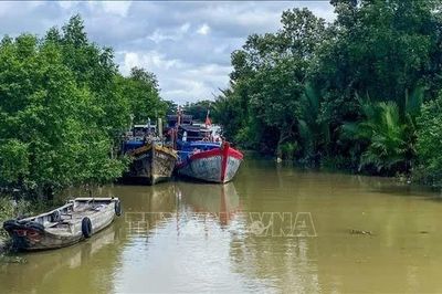 Siết quản lý đội tàu để hành trình vươn khơi đúng luật