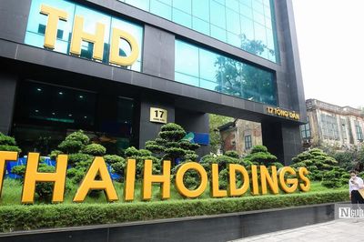 Thaiholdings đăng ký mua thêm 78,32 triệu cổ phần Thaigroup