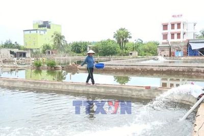 Nguồn vốn mở đường cho những sinh kế mới