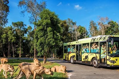 Công viên Safari Ba Vì sắp được xây dựng có gì?