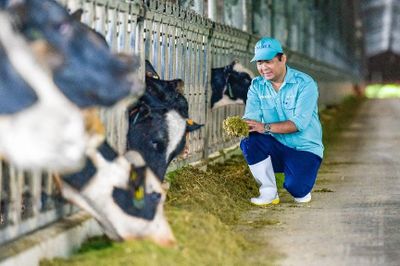 Một lớp nghĩa mới cho chất lượng hàng Việt