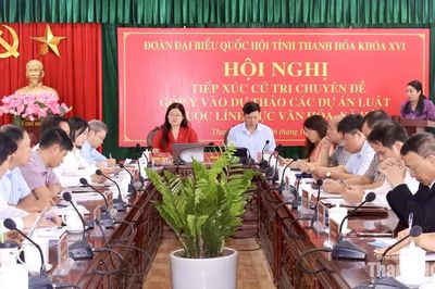 ĐBQH tiếp xúc cử tri chuyên đề góp ý vào dự thảo các dự án luật thuộc lĩnh vực văn hóa, xã hội