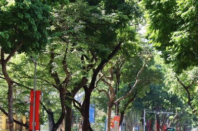 Phóng sự ảnh: Khách quốc tế 'đổ bộ' đón mùa đẹp nhất trong năm của Hà Nội