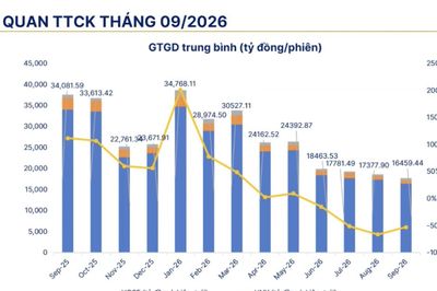 Chuyên gia SHS: Phần nhiều nhà đầu tư trung và dài hạn đang thua lỗ, cần tiếp tục chờ đợi