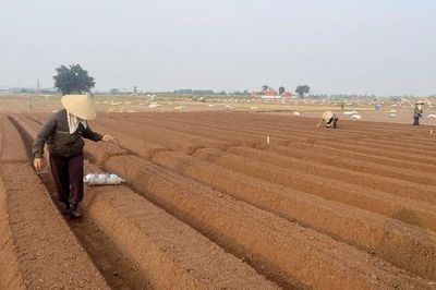 Chủ động ứng phó thiếu nước do hiện tượng El Nino